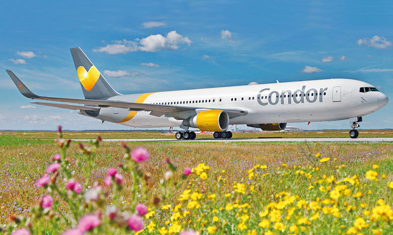Neue Langstrecke: Condor fliegt nach Curaçao