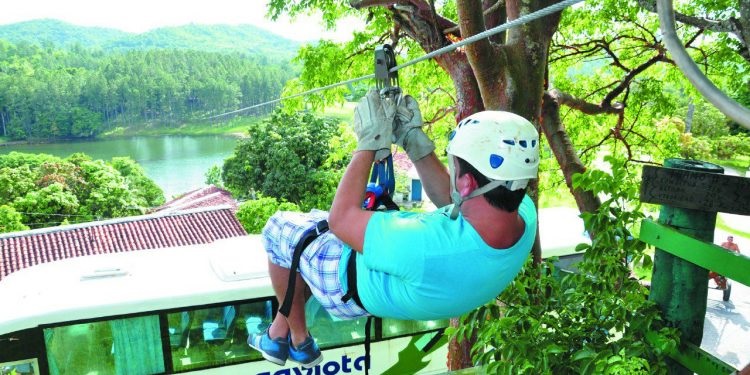 canopy tour