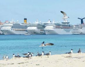 CLIA: Trends in der Kreuzfahrtbranche für 2014