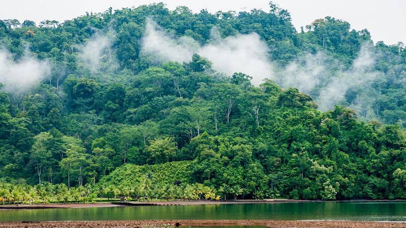Natur und Strand konvergieren im Nationalpark Costa Ricas