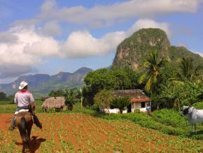 Viñales: großen Wert als kubanische Tourismussegment