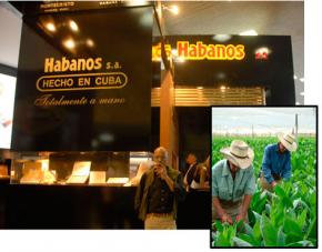 Festival des Habano 2012 