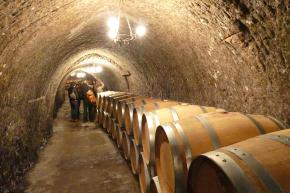 Die Route von Wein Ribera del Duero stellt ihr önotouristisches Angebot in B-Travel vor