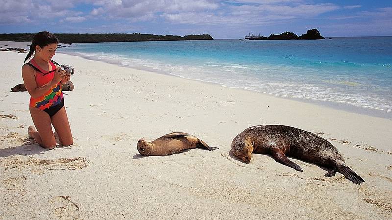 Weihnachten im Paradies: Ecuador und die Galapagos-Inseln