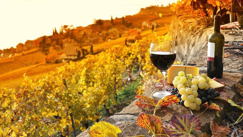Kennen Sie die Orte, wo man den besten Wein trinkt